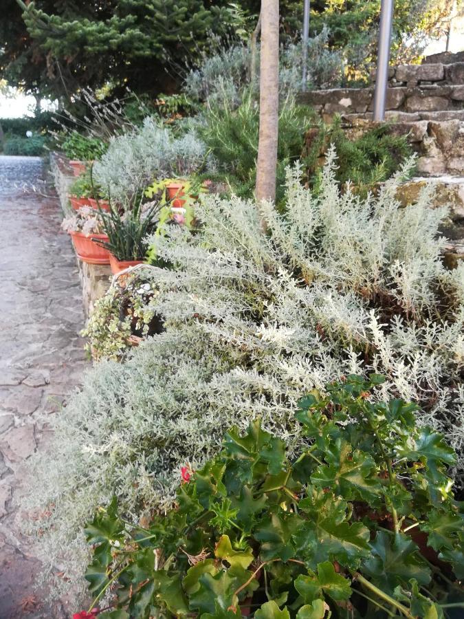 Villa Agriturismo La Solagna Montebello di Bertona Exterior foto